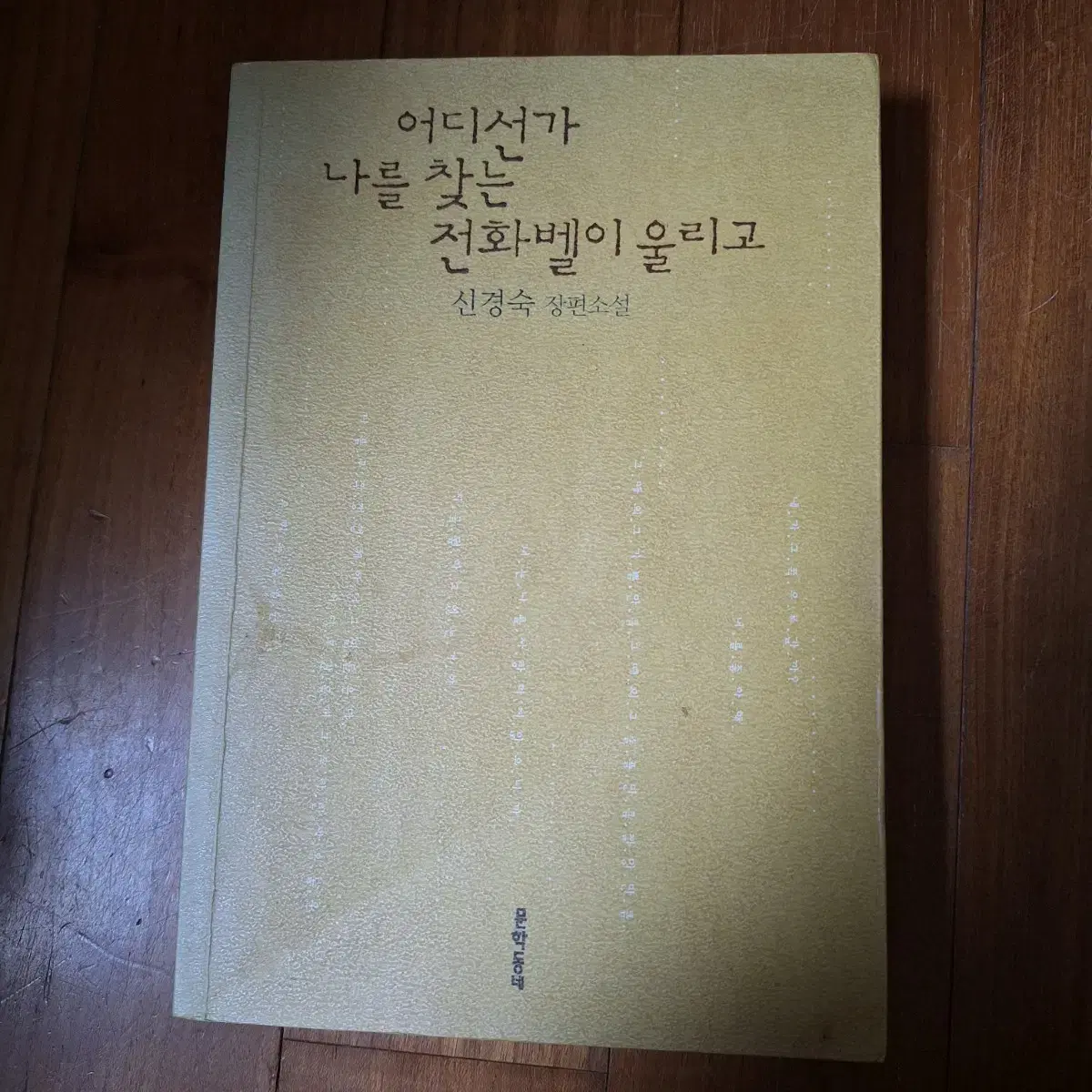 # 어디선가 전화벨이 울리고(신경숙 장편소설)